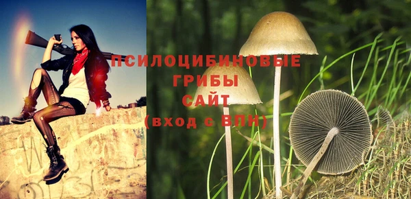 шишки Абинск