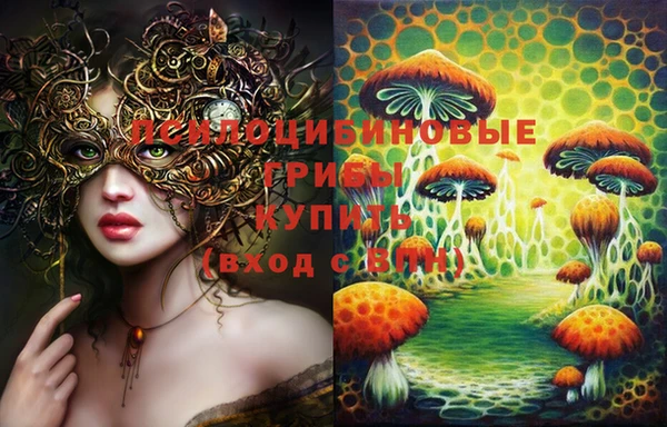шишки Абинск