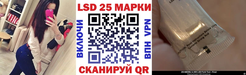 как найти наркотики  Кизляр  KRAKEN рабочий сайт  Марки NBOMe 1500мкг 