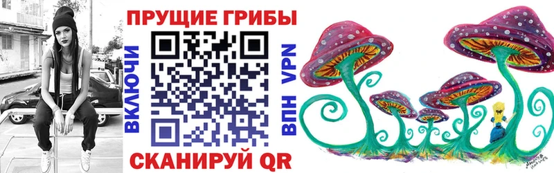 Галлюциногенные грибы Psilocybine cubensis  наркотики  Кизляр 